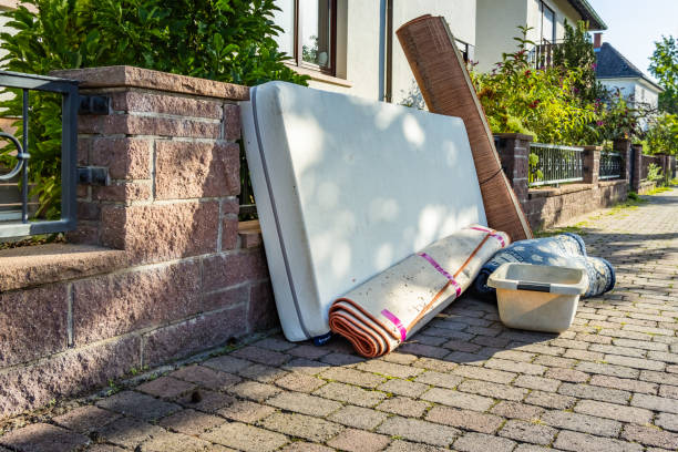 Debris Removal in Mango, FL